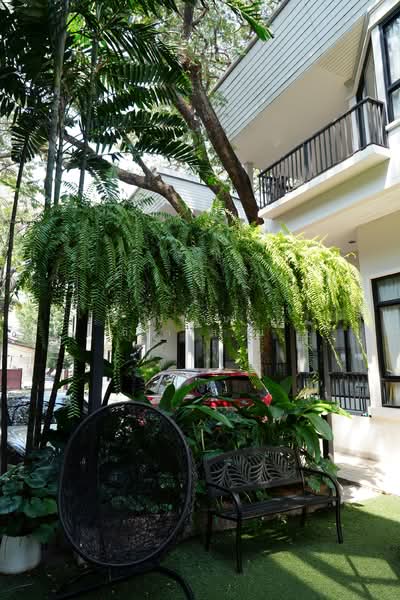 Sukhumvit 38, Bangkok, Phra Kanong, Khlong Toei, Bangkok, 4 Bedrooms, 300 sqm, Villa For Rent, by Praab Thiranusorn, 500168167 - DDproperty.com