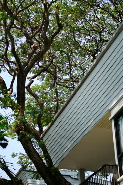 Sukhumvit 38, Bangkok, Phra Kanong, Khlong Toei, Bangkok, 4 Bedrooms, 300 sqm, Villa For Rent, by Praab Thiranusorn, 500168167 - DDproperty.com