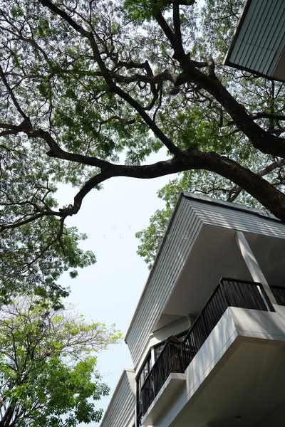 Sukhumvit 38, Bangkok, Phra Kanong, Khlong Toei, Bangkok, 4 Bedrooms, 300 sqm, Villa For Rent, by Praab Thiranusorn, 500168167 - DDproperty.com