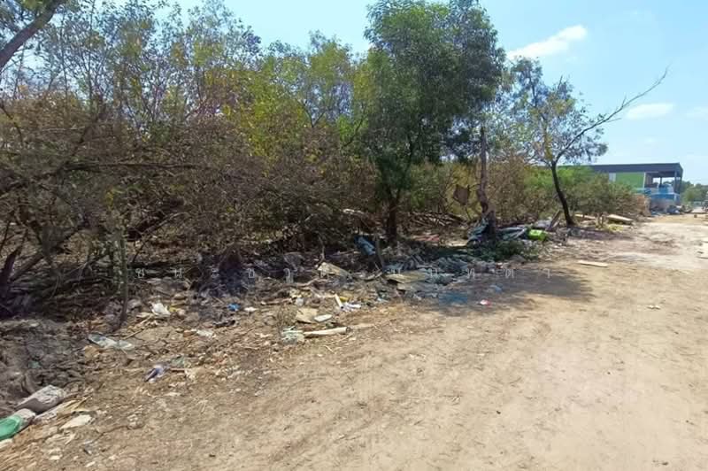 ซอยไอยรา 1, ปทุมธานี, คลองสอง, คลองหลวง, ปทุมธานี, 1,600 ตร.ม., ที่ดิน ขาย, โดย ชนะชาติ นนท์ตา, 500168225 - DDproperty.com