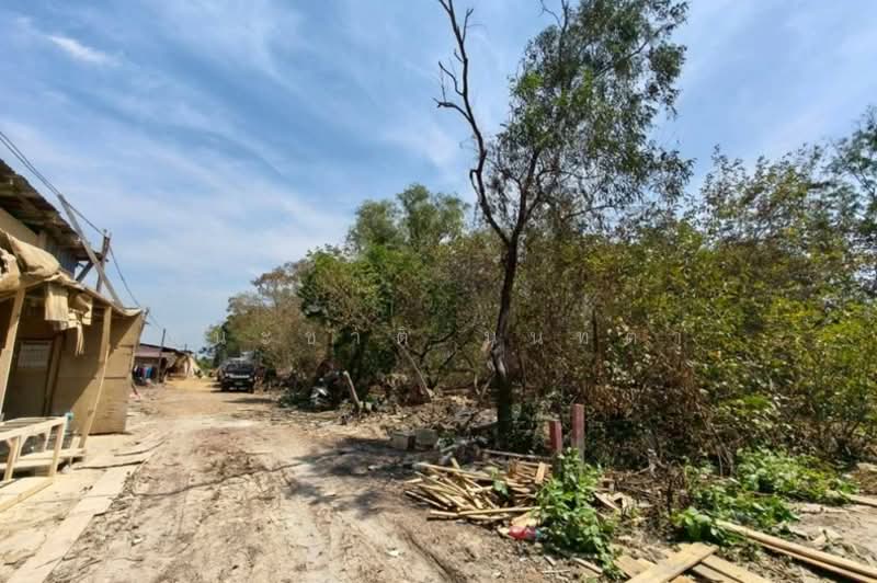 ซอยไอยรา 1, Pathum Thani, Khlong Song, Khlong Luang, Pathum Thani, , 1,600 sqm, Land For Sale, by ชนะชาติ นนท์ตา, 500168225 - DDproperty.com