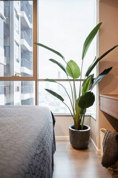 The Room Sathorn-St.Louis : เดอะ รูม สาทร - เซนหลุยส์, กรุงเทพ, 55 ซอยจันทน์ 18/7 ถนนจันทน์, ทุ่งวัดดอน, สาทร, กรุงเทพ, 35 ตร.ม., คอนโด ขาย, โดย Kanueng (Pro) Noppornpitak, 500168243 - DDproperty.com