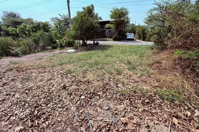 ซอยกำนันสมจิตร, นนทบุรี, บางแม่นาง, บางใหญ่, นนทบุรี, 1,920 ตร.ม., ที่ดิน ขาย, โดย ชนะชาติ นนท์ตา, 500168250 - DDproperty.com