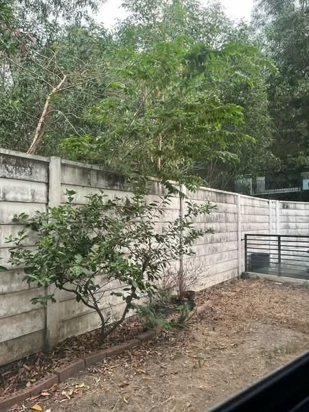 The Connect Chaengwattana - Tiwanon, Nonthaburi, Tiwanon Road, Ban Mai, Pak Kret, Nonthaburi, 3 Bedrooms, 150 sqm, Townhouse For Rent, by keymatters property, 500168268 - DDproperty.com
