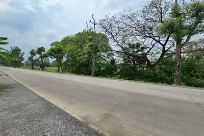 ขาย - ขายที่ดิน 5 ไร่ ราชพฤกษ์ - ชัยพฤกษ์ บางบัวทอง แปลงใหญ่ เข้าออกได้ 2 ทาง, นนทบุรี