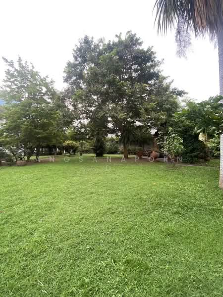 บ้านพร้อมที่ดิน 2ไร่ 86 ตารางวา, กรุงเทพ, คลองเตยเหนือ, วัฒนา, กรุงเทพ, 3,544 ตร.ม., ที่ดิน ขาย, โดย Angsanaporn D, 500168363 - DDproperty.com