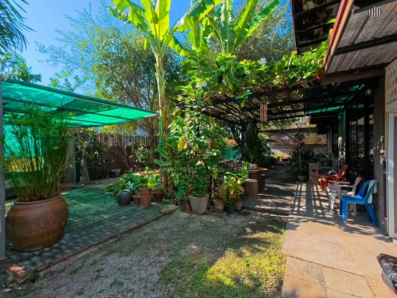 ทำเลค้าขาย! ใจกลางเมืองกาญ ขาย ที่ดินพร้อม บ้านสวน 189 ตารางวา ผังสีชมพู ติดถนน 2 ด้าน!!, กาญจนบุรี, ถนนแสงชูโต (323), บ้านใต้, เมืองกาญจนบุรี, กาญจนบุรี, 756 ตร.ม., ที่ดิน ขาย, โดย คุณจี, 500168401 - DDproperty.com