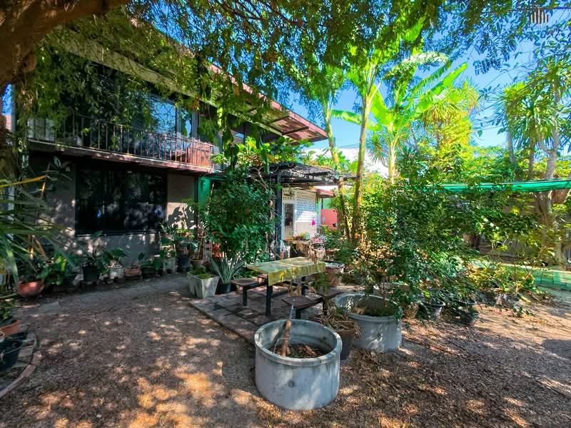 ทำเลค้าขาย! ใจกลางเมืองกาญ ขาย ที่ดินพร้อม บ้านสวน 189 ตารางวา ผังสีชมพู ติดถนน 2 ด้าน!!, กาญจนบุรี, ถนนแสงชูโต (323), บ้านใต้, เมืองกาญจนบุรี, กาญจนบุรี, 756 ตร.ม., ที่ดิน ขาย, โดย คุณจี, 500168401 - DDproperty.com