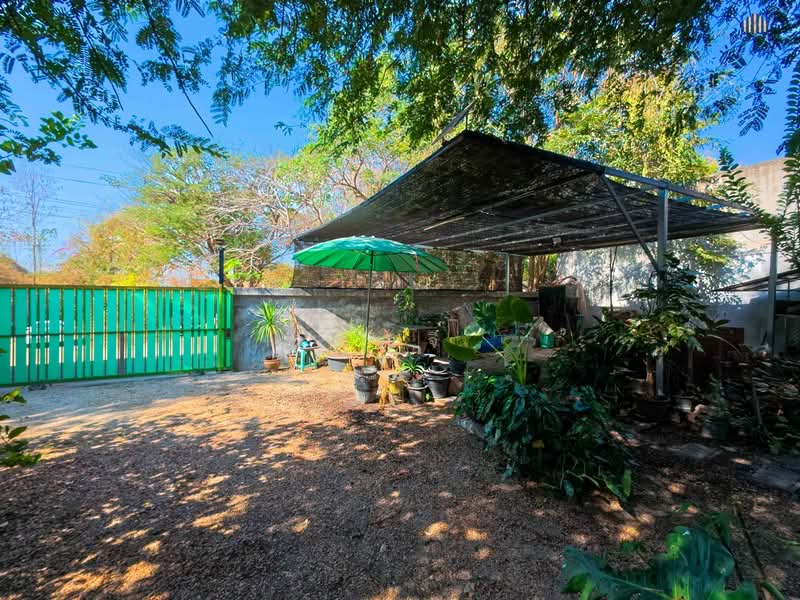 ทำเลค้าขาย! ใจกลางเมืองกาญ ขาย ที่ดินพร้อม บ้านสวน 189 ตารางวา ผังสีชมพู ติดถนน 2 ด้าน!!, กาญจนบุรี, ถนนแสงชูโต (323), บ้านใต้, เมืองกาญจนบุรี, กาญจนบุรี, 756 ตร.ม., ที่ดิน ขาย, โดย คุณจี, 500168401 - DDproperty.com