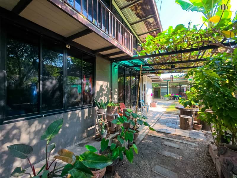 ทำเลค้าขาย! ใจกลางเมืองกาญ ขาย ที่ดินพร้อม บ้านสวน 189 ตารางวา ผังสีชมพู ติดถนน 2 ด้าน!!, กาญจนบุรี, ถนนแสงชูโต (323), บ้านใต้, เมืองกาญจนบุรี, กาญจนบุรี, 756 ตร.ม., ที่ดิน ขาย, โดย คุณจี, 500168401 - DDproperty.com