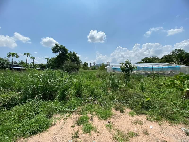 Land for sale in Bueng Si Muang Lai, Soi Don Nun, 3 rai, near Pinthong Industrial Estate 2-3 km,, Chon Buri (Pattaya), Bueng, Si Racha, Chon Buri (Pattaya), , 4,800 sqm, Land For Sale, by richwellinter, 500168412 - DDproperty.com