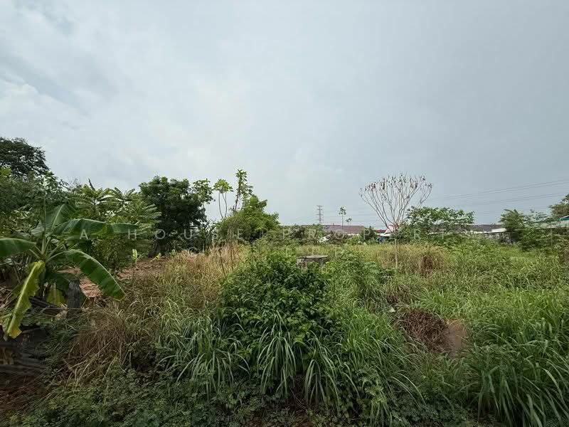 ขาย - ขายที่ดินอ่าวอุดม ชากยายจีน ศรีราชา, ชลบุรี