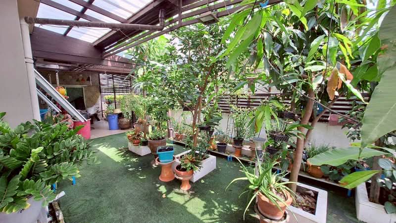 house for sell, Bangkok, Sam Wa Tawan Tok, Khlong Sam Wa, Bangkok, 3 Bedrooms, 100 sqm, Semi-Detached House (Twin House) For Sale, by คุณตุ้ม, 500168421 - DDproperty.com