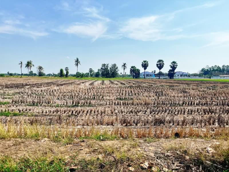 ที่ดินสรรคบุรี ชัยนาท, Chai Nat, Huai Krot, Sankha Buri, Chai Nat, , 18,884 sqm, Land For Sale, by The Best Property แอ้, 500168491 - DDproperty.com