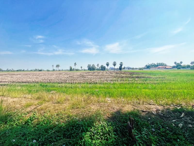 ที่ดินสรรคบุรี ชัยนาท, Chai Nat, Huai Krot, Sankha Buri, Chai Nat, , 18,884 sqm, Land For Sale, by The Best Property แอ้, 500168491 - DDproperty.com