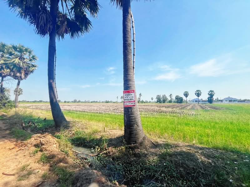 ที่ดินสรรคบุรี ชัยนาท, Chai Nat, Huai Krot, Sankha Buri, Chai Nat, , 18,884 sqm, Land For Sale, by The Best Property แอ้, 500168491 - DDproperty.com