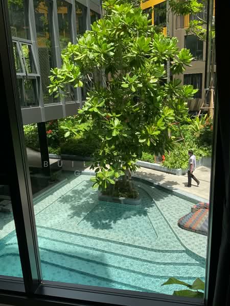 The Base Central, Phuket, Chao Fah Tawan Tok Rd, Wichit, Muang Phuket, Phuket, 1 Bedroom, 29 sqm, Condo For Rent, by Built Prime global, 500168507 - DDproperty.com