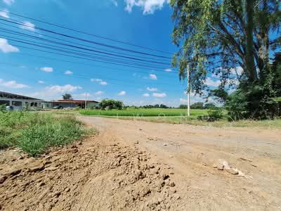 ขาย - ที่ดินเปล่า 15 ไร่, ติดถนนหมายเลข 117 (นครสวรรค์ – พิจิตร) อ.โพธิ์ทะเล จ.พิจิตร, พิจิตร