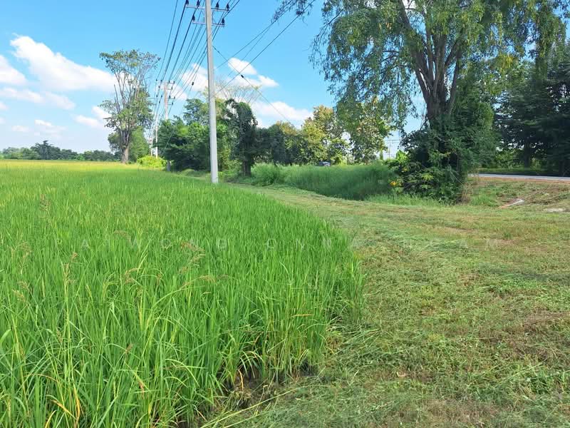 ขาย - ที่ดินเปล่า 15 ไร่, ติดถนนหมายเลข 117 (นครสวรรค์ – พิจิตร) อ.โพธิ์ทะเล จ.พิจิตร, พิจิตร