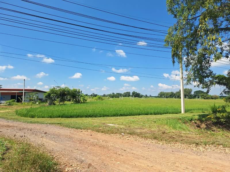 ขาย - ที่ดินเปล่า 15 ไร่, ติดถนนหมายเลข 117 (นครสวรรค์ – พิจิตร) อ.โพธิ์ทะเล จ.พิจิตร, พิจิตร