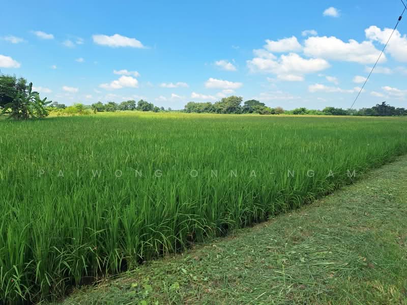 ขาย - ที่ดินเปล่า 15 ไร่, ติดถนนหมายเลข 117 (นครสวรรค์ – พิจิตร) อ.โพธิ์ทะเล จ.พิจิตร, พิจิตร