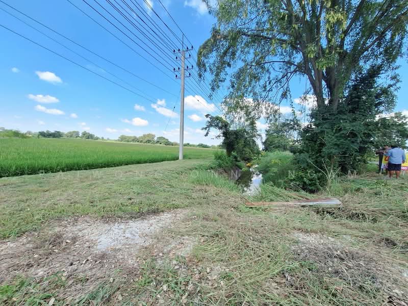 ขาย - ที่ดินเปล่า 15 ไร่, ติดถนนหมายเลข 117 (นครสวรรค์ – พิจิตร) อ.โพธิ์ทะเล จ.พิจิตร, พิจิตร