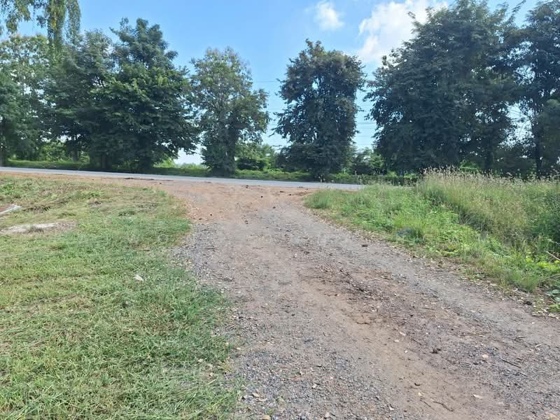 ขาย - ที่ดินเปล่า 15 ไร่, ติดถนนหมายเลข 117 (นครสวรรค์ – พิจิตร) อ.โพธิ์ทะเล จ.พิจิตร, พิจิตร