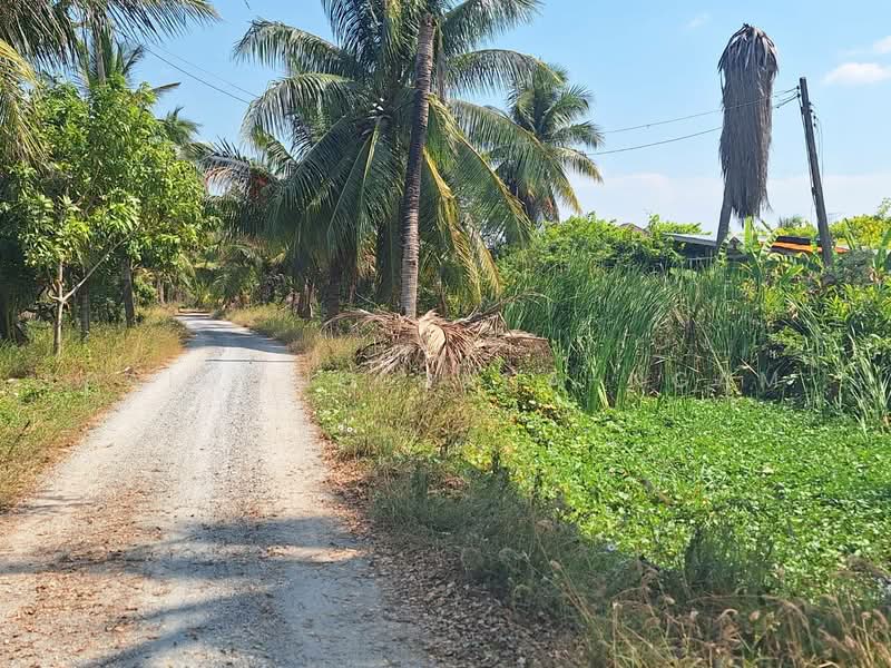 ขาย - ขายที่ดิน 4-0-87 ไร่ อ.ลาดบัวหลวง จ.พระนครศรีอยุธยา, ใกล้ถนนหมายเลข 4009, พระนครศรีอยุธยา