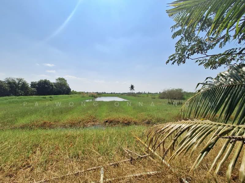 ขาย - ขายที่ดิน 4-0-87 ไร่ อ.ลาดบัวหลวง จ.พระนครศรีอยุธยา, ใกล้ถนนหมายเลข 4009, พระนครศรีอยุธยา