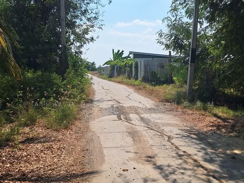 ขาย - ขายที่ดิน 4-0-87 ไร่ อ.ลาดบัวหลวง จ.พระนครศรีอยุธยา, ใกล้ถนนหมายเลข 4009, พระนครศรีอยุธยา