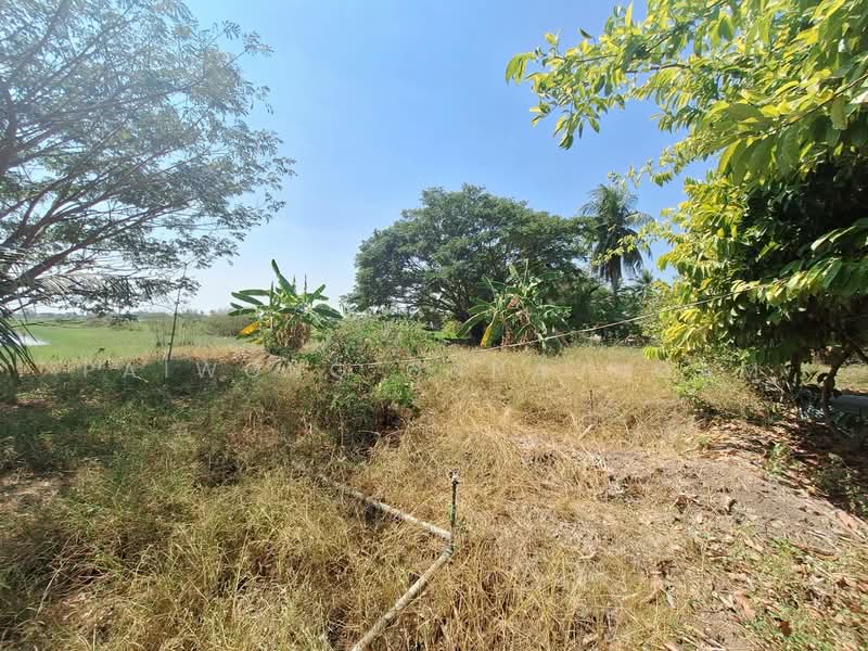 ขาย - ขายที่ดิน 4-0-87 ไร่ อ.ลาดบัวหลวง จ.พระนครศรีอยุธยา, ใกล้ถนนหมายเลข 4009, พระนครศรีอยุธยา