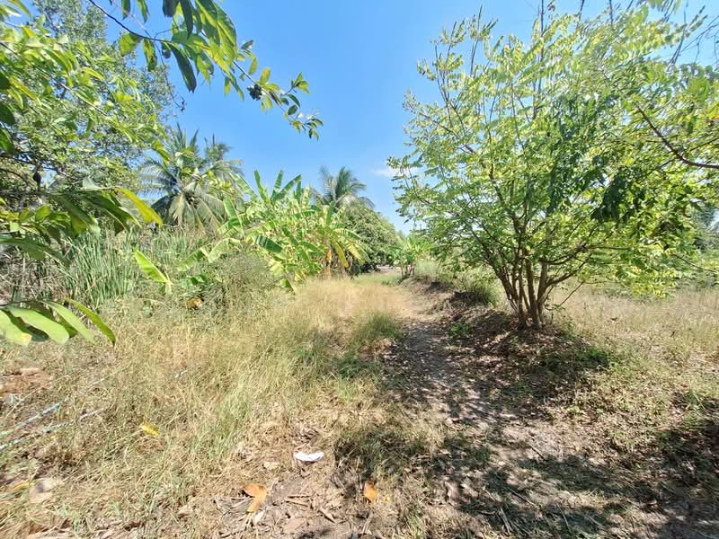 ขาย - ขายที่ดิน 4-0-87 ไร่ อ.ลาดบัวหลวง จ.พระนครศรีอยุธยา, ใกล้ถนนหมายเลข 4009, พระนครศรีอยุธยา