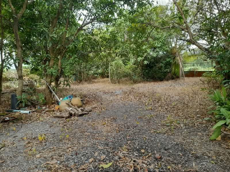 ขายที่ดิน พร้อมบ้าน 2 หลัง 1-0-25 ไร่ อ.ปากพลี จ.นครนายก, Nakhon Nayok, Ko Pho, Pak Phli, Nakhon Nayok, 8 Bedrooms, 800 sqm, Single Detached House For Sale, by Paiwong Onna-nam, 500168589 - DDproperty.com