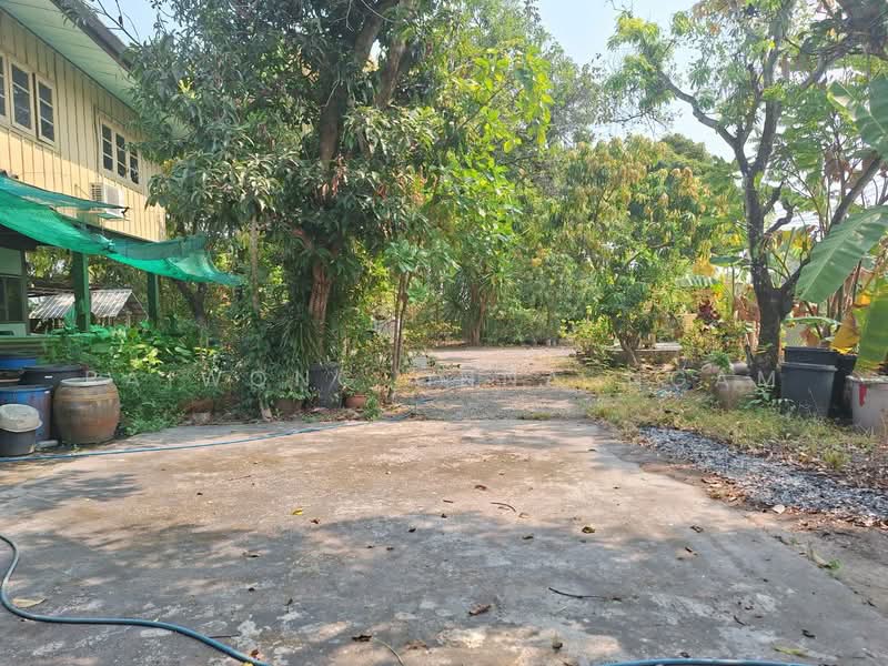 ขายที่ดิน พร้อมบ้าน 2 หลัง 1-0-25 ไร่ อ.ปากพลี จ.นครนายก, Nakhon Nayok, Ko Pho, Pak Phli, Nakhon Nayok, 8 Bedrooms, 800 sqm, Single Detached House For Sale, by Paiwong Onna-nam, 500168589 - DDproperty.com