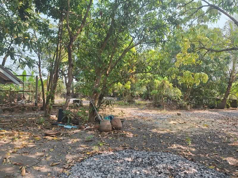 ขายที่ดิน พร้อมบ้าน 2 หลัง 1-0-25 ไร่ อ.ปากพลี จ.นครนายก, Nakhon Nayok, Ko Pho, Pak Phli, Nakhon Nayok, 8 Bedrooms, 800 sqm, Single Detached House For Sale, by Paiwong Onna-nam, 500168589 - DDproperty.com