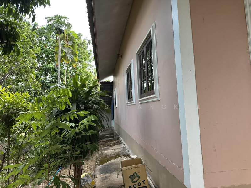 ขาย - บ้านแป้น, สกลนคร