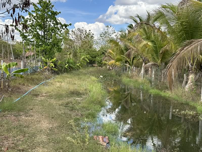 บ้านแป้น, Sakon Nakhon, Ban Paen, Phon Na Kaeo, Sakon Nakhon, 3 Bedrooms, 167 sqm, Single Detached House For Sale, by Anumas Hangkul, 500168590 - DDproperty.com