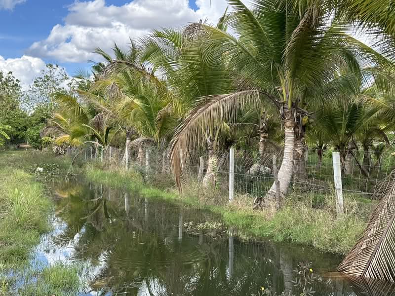 บ้านแป้น, Sakon Nakhon, Ban Paen, Phon Na Kaeo, Sakon Nakhon, 3 Bedrooms, 167 sqm, Single Detached House For Sale, by Anumas Hangkul, 500168590 - DDproperty.com