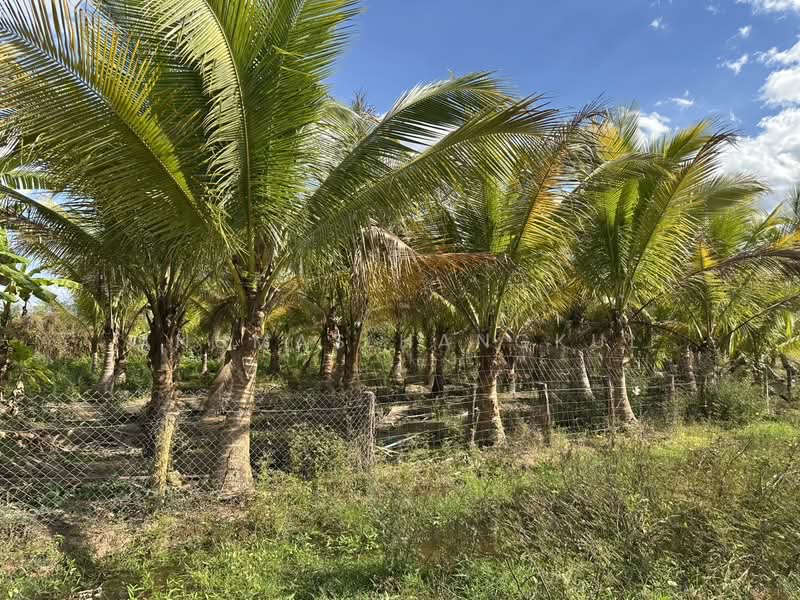 ขาย - บ้านแป้น, สกลนคร