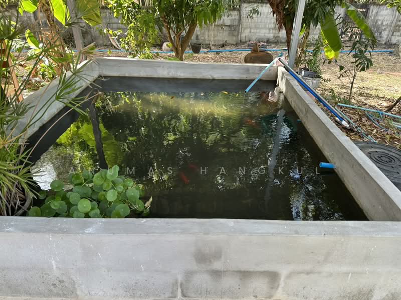 บ้านแป้น, Sakon Nakhon, Ban Paen, Phon Na Kaeo, Sakon Nakhon, 3 Bedrooms, 167 sqm, Single Detached House For Sale, by Anumas Hangkul, 500168590 - DDproperty.com