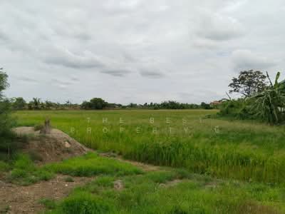 ขาย - ที่ดินบางเลน นครปฐม, นครปฐม