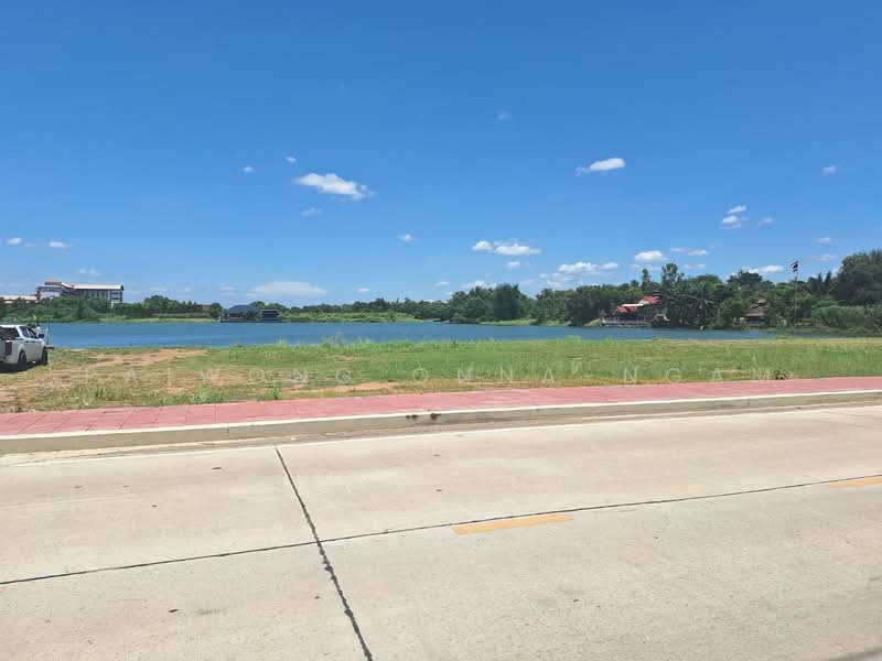 ขายที่ดินเปล่า 4-2-0 ไร่ ติด ม.รังสิต ปทุมธานี, Pathum Thani, Lak Hok, Muang Pathum Thani, Pathum Thani, , 7,200 sqm, Land For Sale, by Paiwong Onna-nam, 500168606 - DDproperty.com