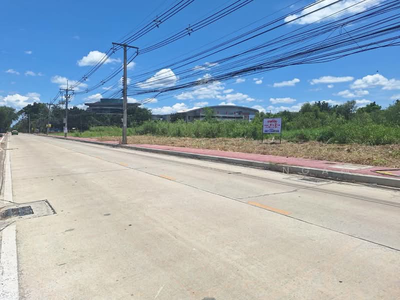 ขายที่ดินเปล่า 4-2-0 ไร่ ติด ม.รังสิต ปทุมธานี, Pathum Thani, Lak Hok, Muang Pathum Thani, Pathum Thani, , 7,200 sqm, Land For Sale, by Paiwong Onna-nam, 500168606 - DDproperty.com