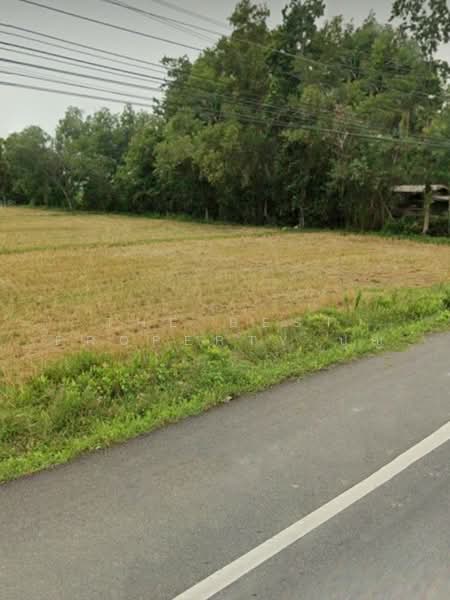 ขาย - ที่ดินระโนด สงขลา, สงขลา