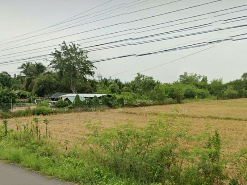 ขาย - ที่ดินระโนด สงขลา, สงขลา