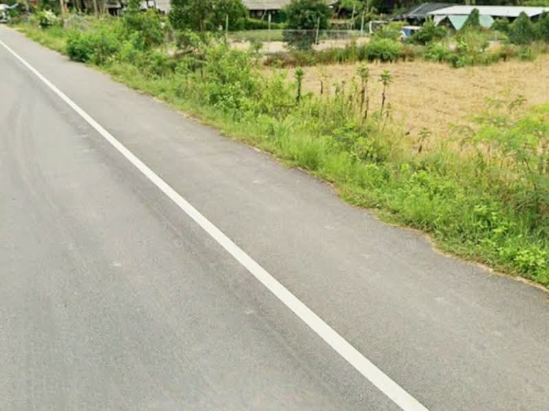 ขาย - ที่ดินระโนด สงขลา, สงขลา