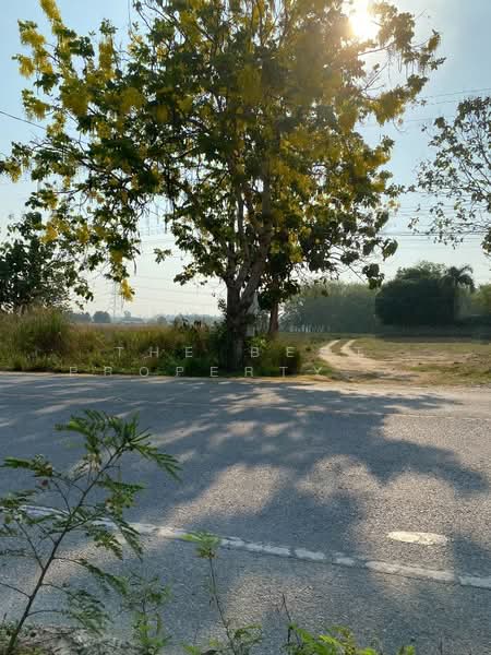 ที่ดินนิคมพัฒนา ระยอง, Rayong, Phananikhom, Nikhom Pattana, Rayong, , 11,200 sqm, Land For Sale, by The Best Property เปิ้ล, 500168624 - DDproperty.com