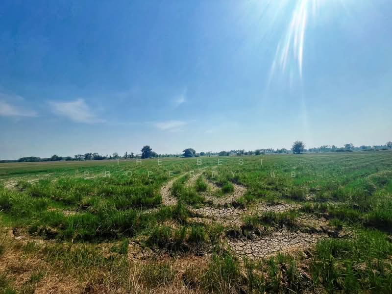 ที่ดินสรรพยา ชัยนาท, ชัยนาท, บางหลวง, สรรพยา, ชัยนาท, 13,848 ตร.ม., ที่ดิน ขาย, โดย The Best Property แอ้, 500168628 - DDproperty.com