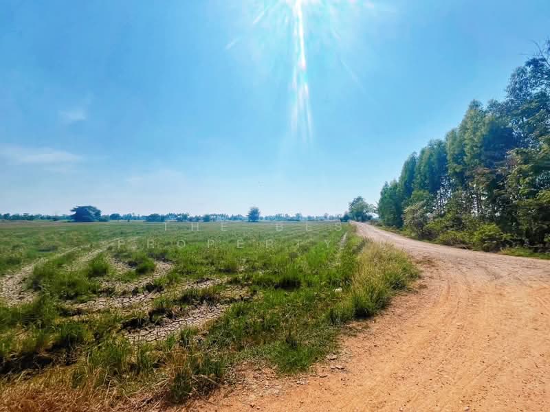 ที่ดินสรรพยา ชัยนาท, ชัยนาท, บางหลวง, สรรพยา, ชัยนาท, 13,848 ตร.ม., ที่ดิน ขาย, โดย The Best Property แอ้, 500168628 - DDproperty.com