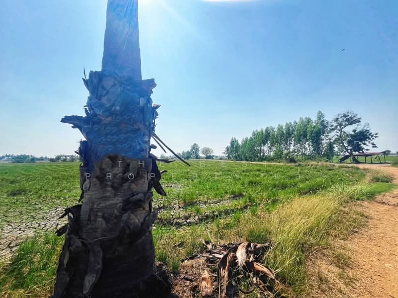 ที่ดินสรรพยา ชัยนาท, ชัยนาท, บางหลวง, สรรพยา, ชัยนาท, 13,848 ตร.ม., ที่ดิน ขาย, โดย The Best Property แอ้, 500168628 - DDproperty.com